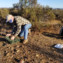 Preserving Chaparral